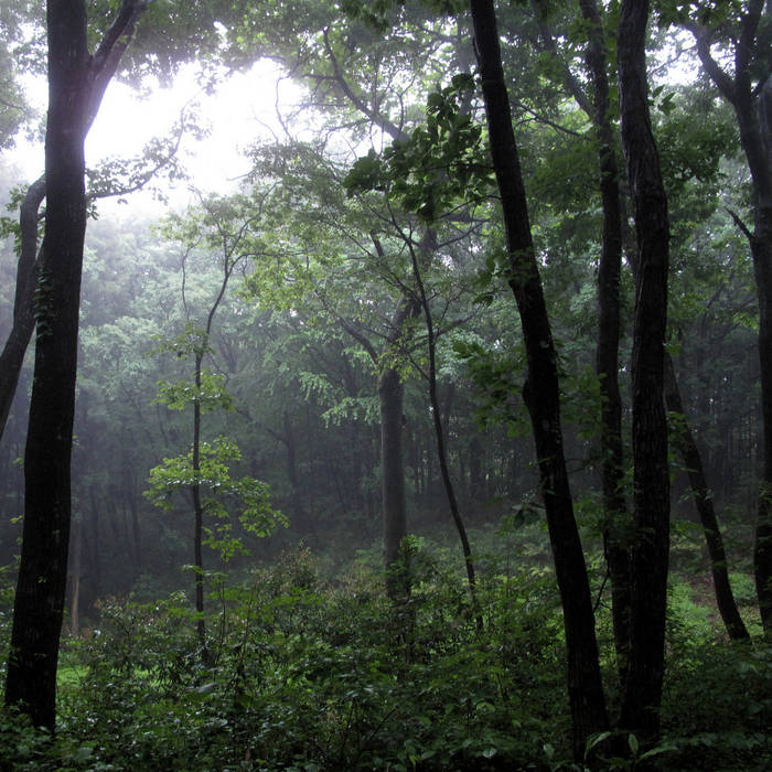 Sayama Hills | Nature Sounds Society Japan (NSSJP)