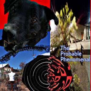 The Probable Phenomenal cover