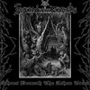 Echoes Beneath The Ashen Trees