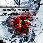 Subcultural Odyssey