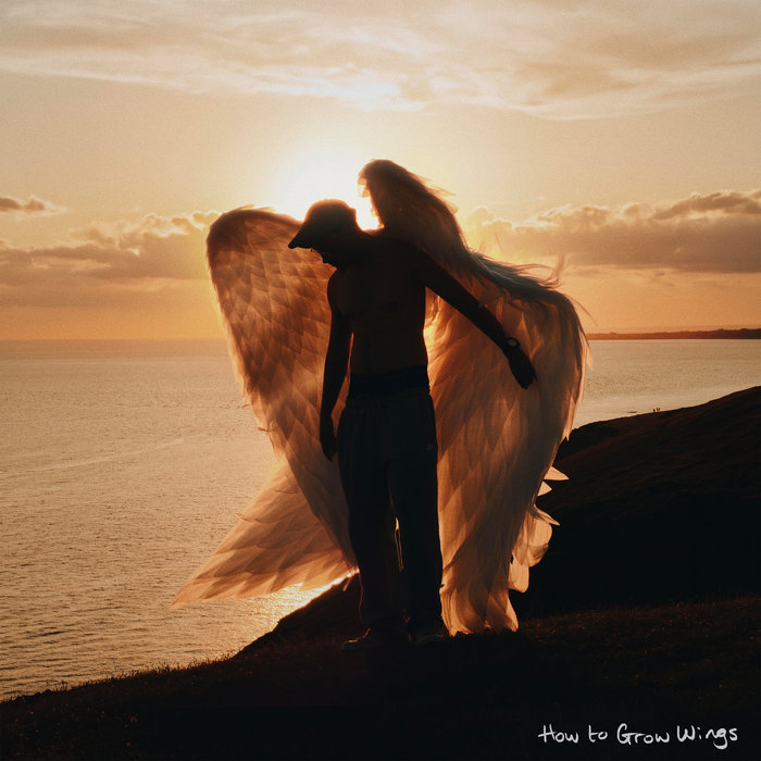 Pochette de How to Grow Wings par Luke RV