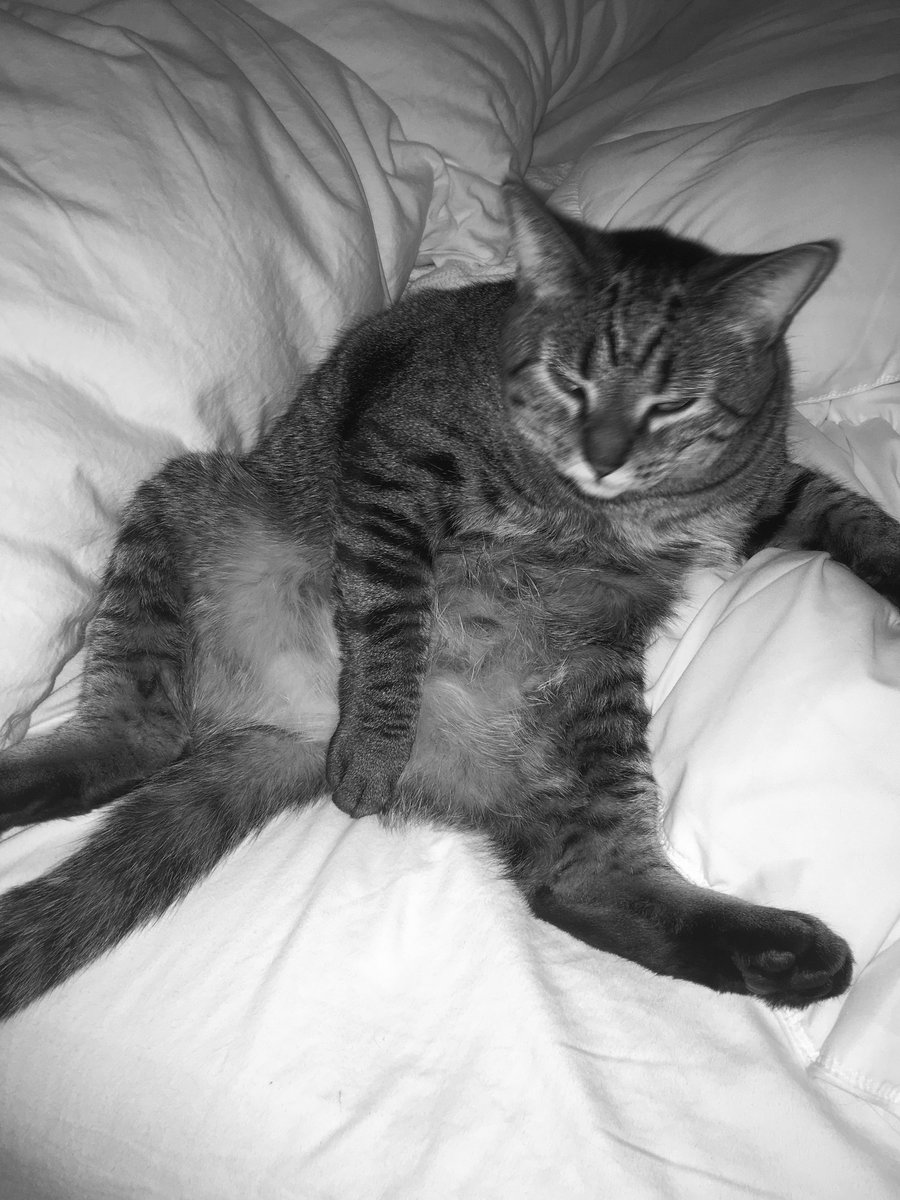 clam, crab, cockle, cowrie (joanna newsom) molivar