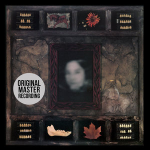 Dazzling Killmen — Face of Collapse (Original Master)