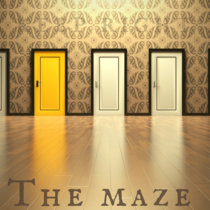 The Maze cover art