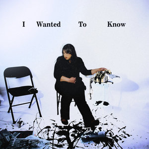 I Wanted To Know cover