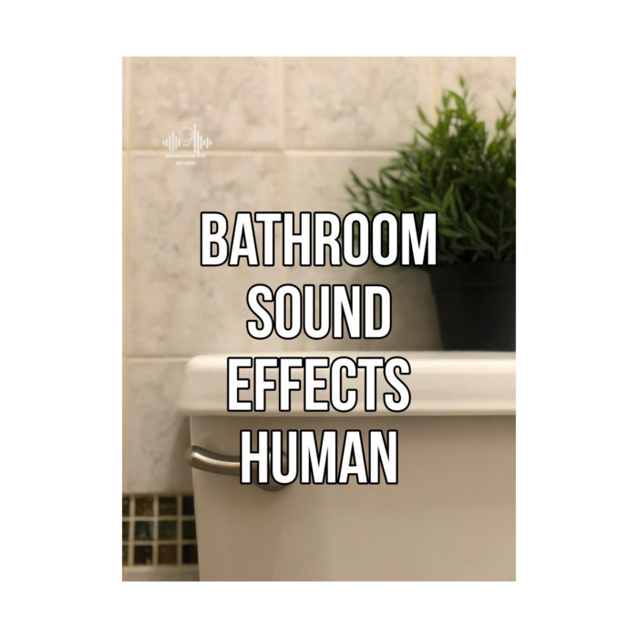 Bathroom Sound Effects 32 Bit Float Pack Bobylohatfilmsounds