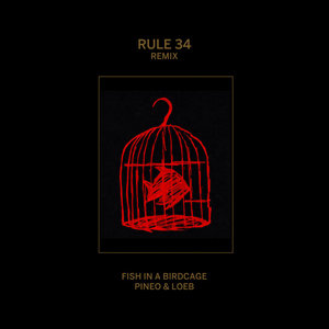 Rule #34 (Remix)Fish in a Birdcage & PINEO & LOEB cover