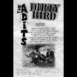Riot cover