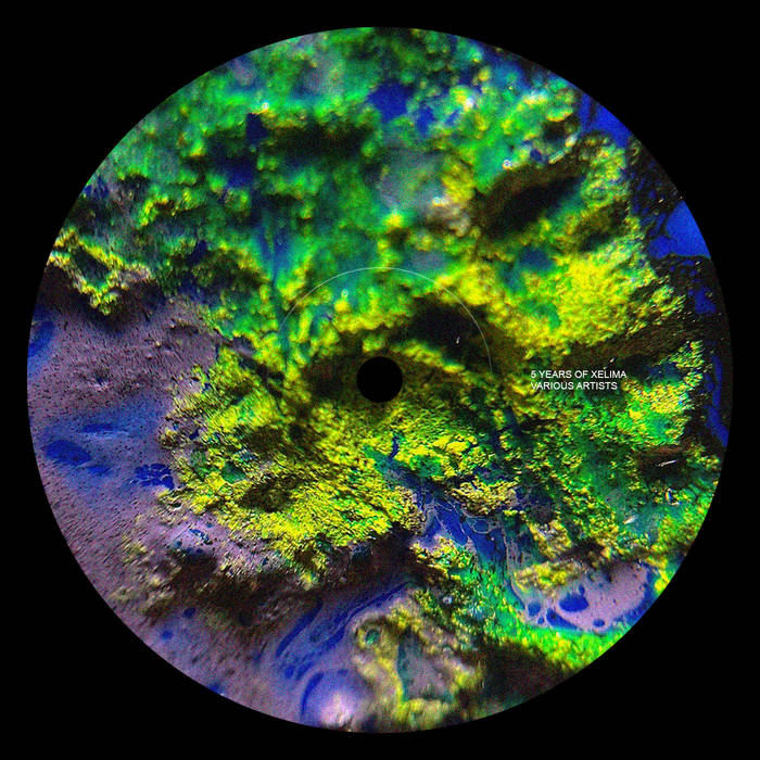 zxzx - Nude | Xelima Records