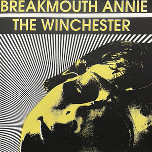 Winchester split cover