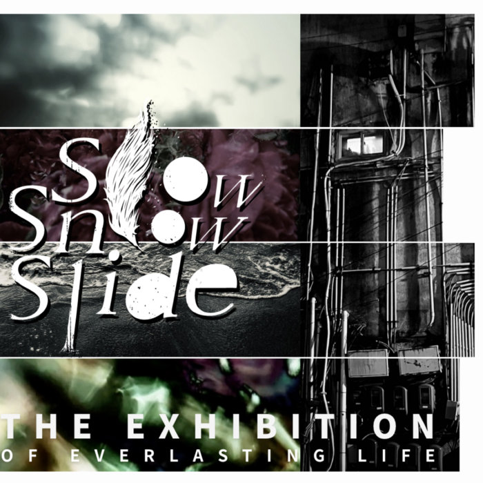 THE EXHIBITION | Slow Snow Slide