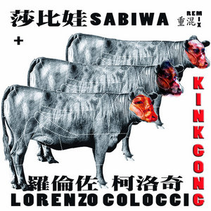 SABIWA Plays KINK GONG cover