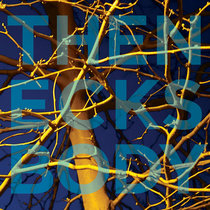 MOSQUITO/SEE THROUGH | The Necks