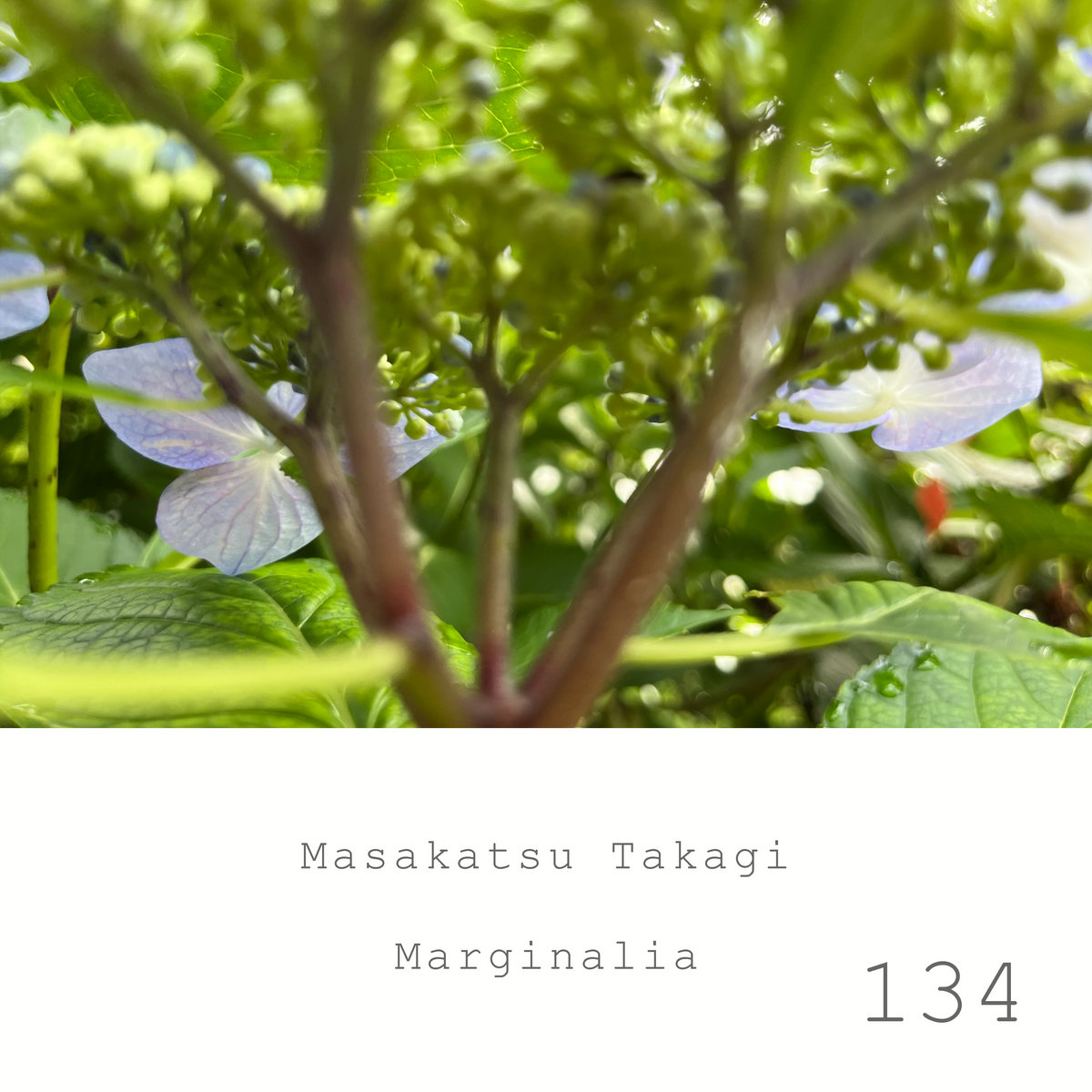 Marginalia #134 | Masakatsu Takagi