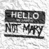 Hello, My Name is Not Mary Cover Art