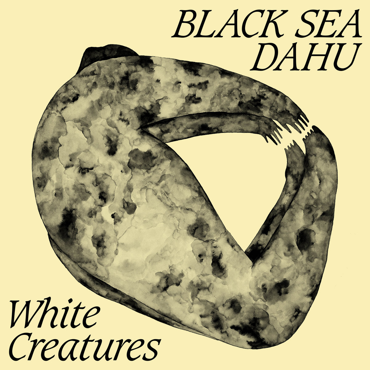 white creatures black sea