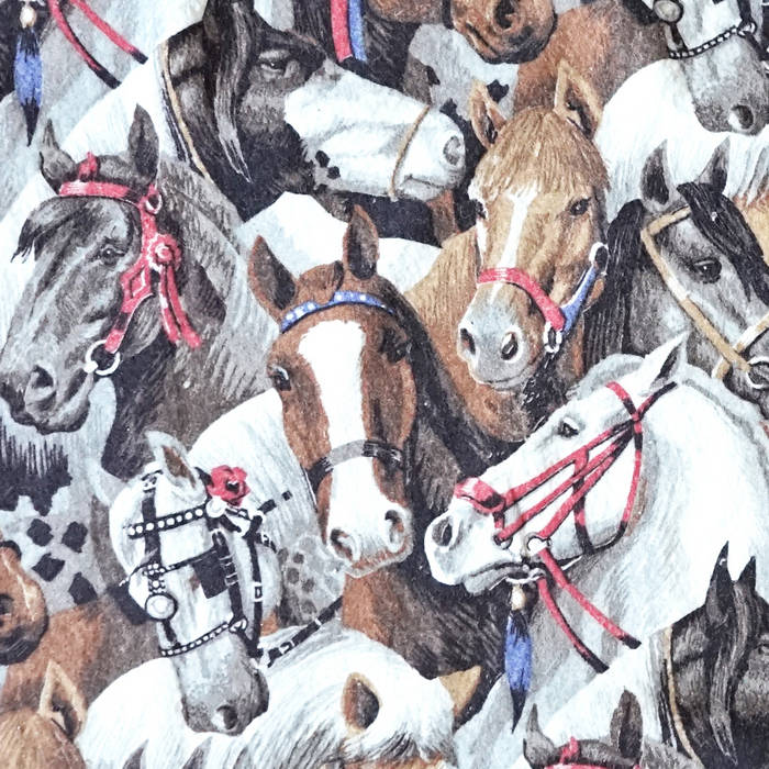 Horse Blanket Posse