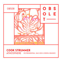 Cook Strummer - Branche (Freudenthal Remix) cover art