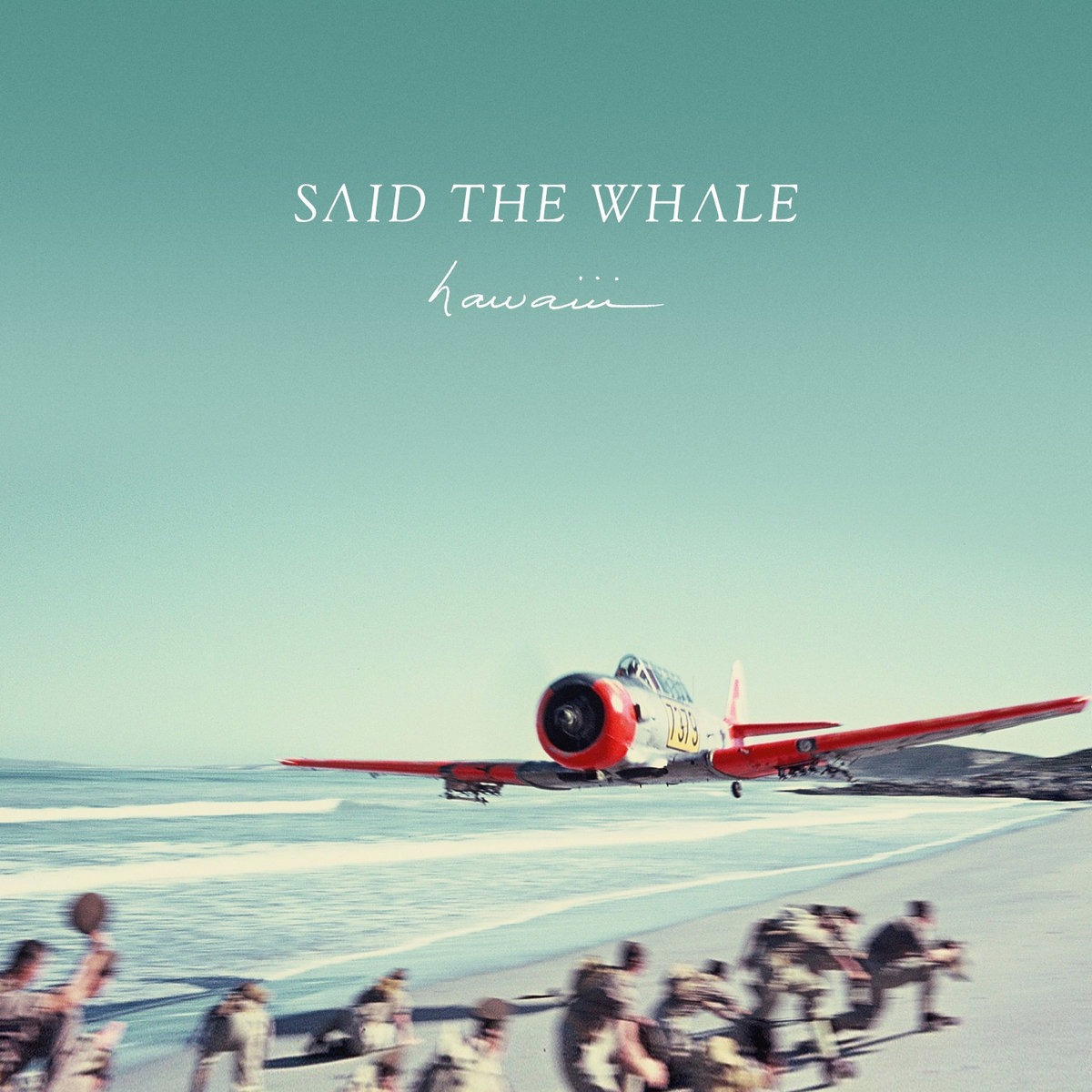 Little Mountain Said The Whale