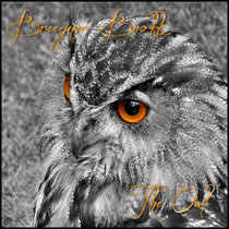 The Owl cover art