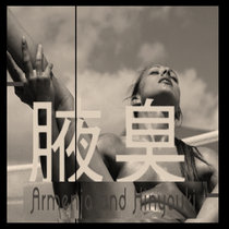 Hinyouki + ARMENIA Wakiga album (2010/2023) cover art