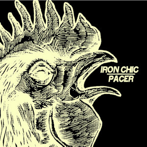 Split w/ Iron Chic cover