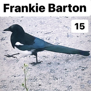 15 cover