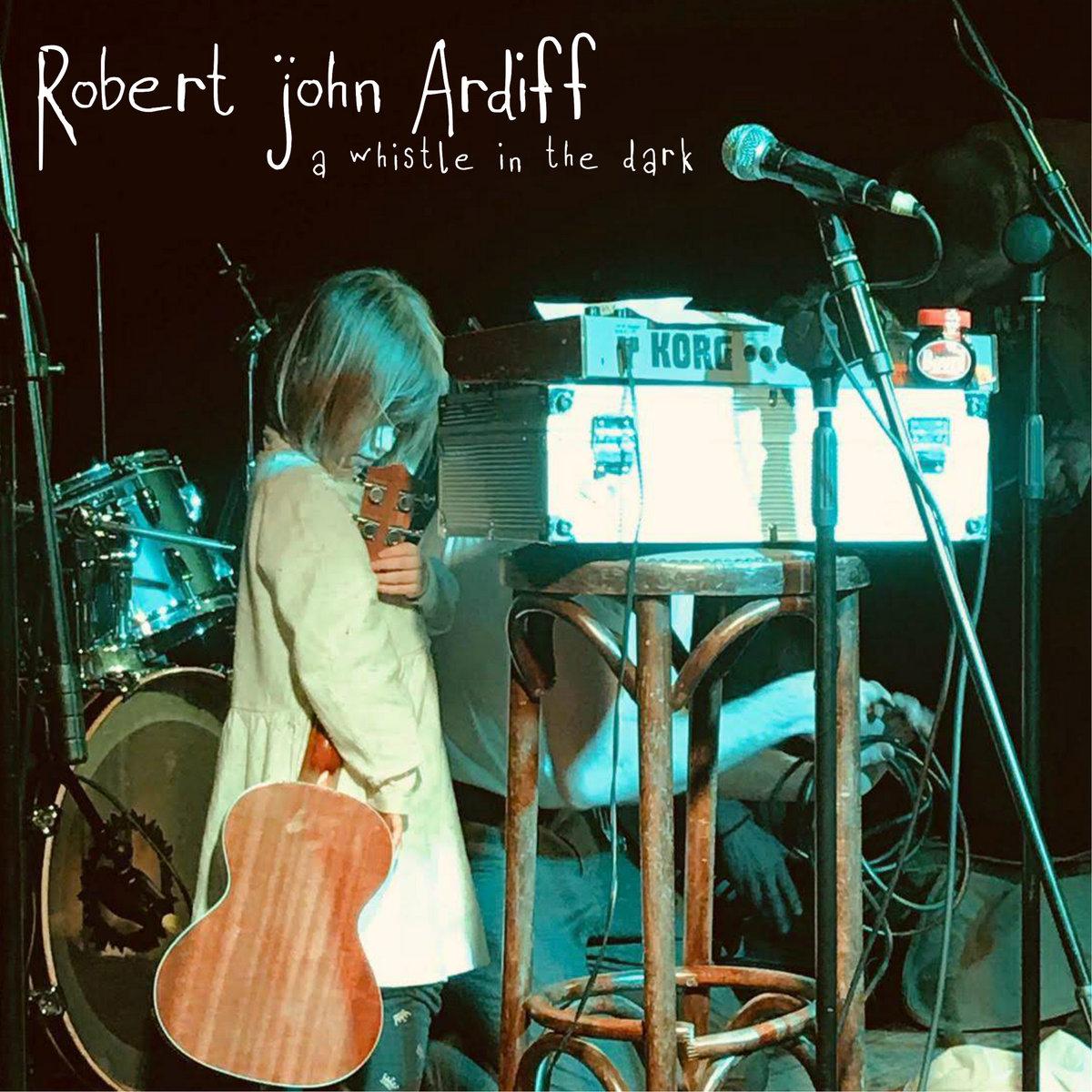 A Whistle in The Dark cover