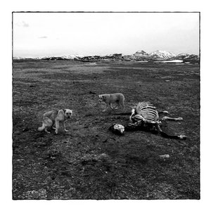 Bronson Arm — S/T