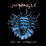 Are You Shpongled? (Remastered)