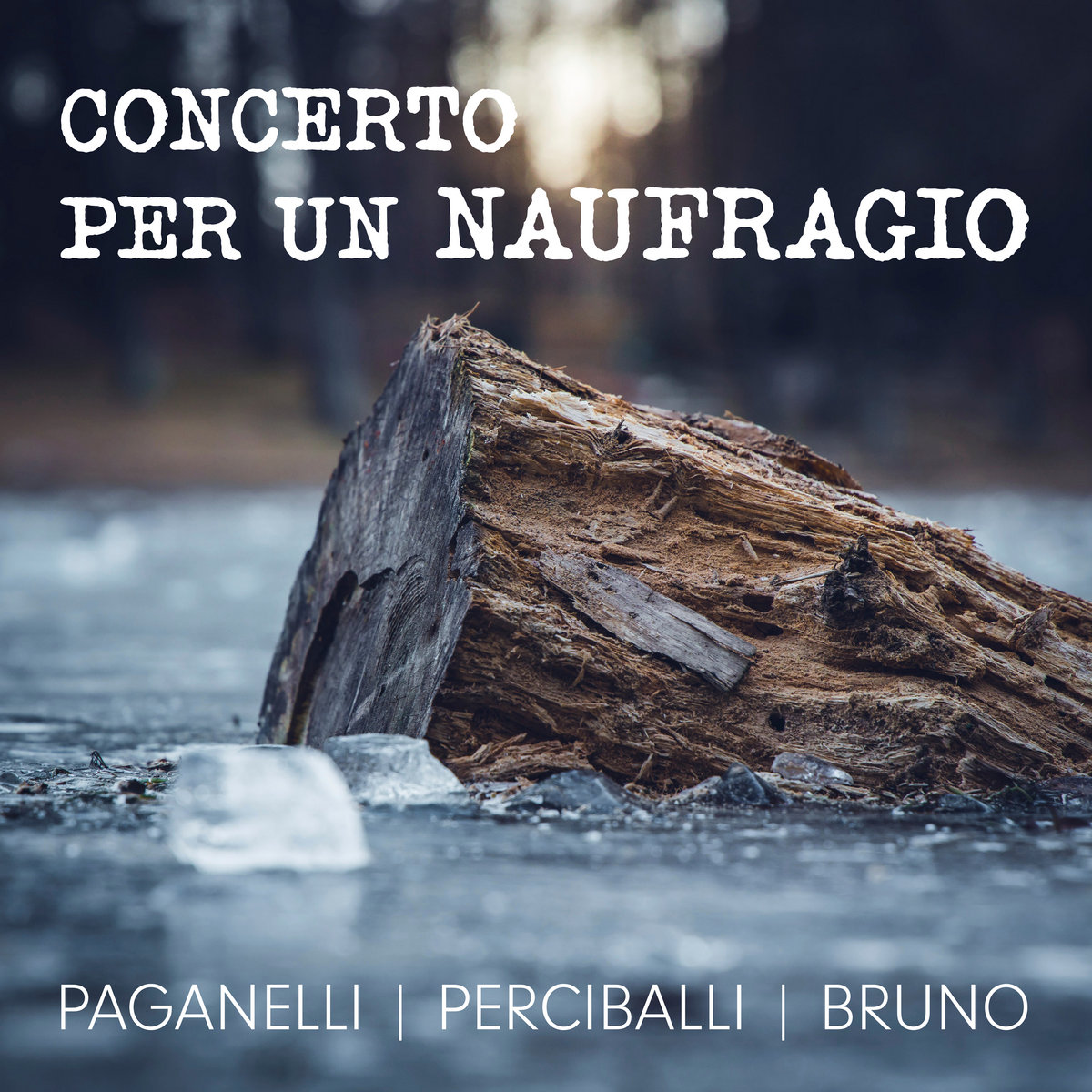 Concerto per un naufragio Daniele Paganelli, Luca Perciballi