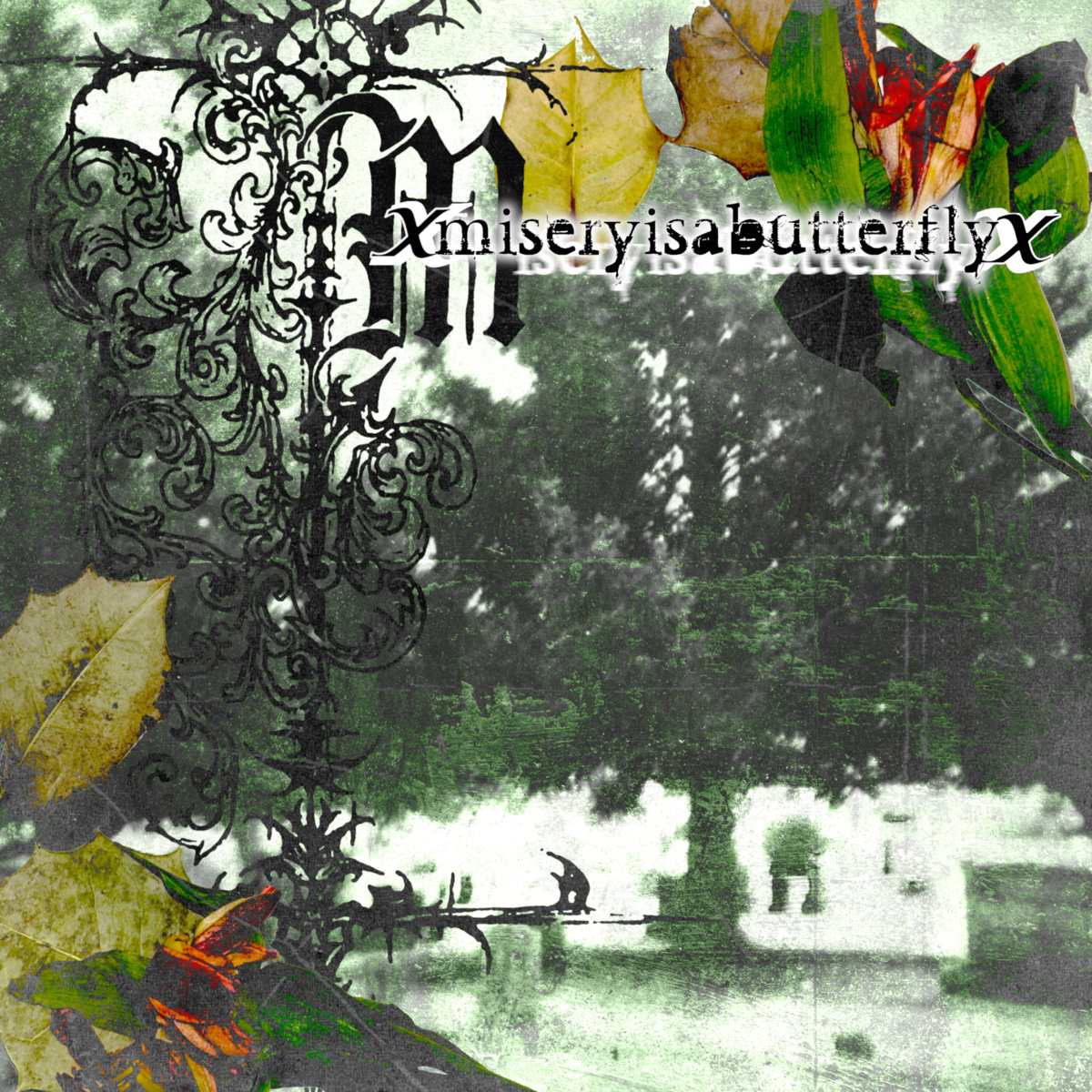 demo | XmiseryisabutterflyX