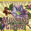 Morning Glory Cover Art
