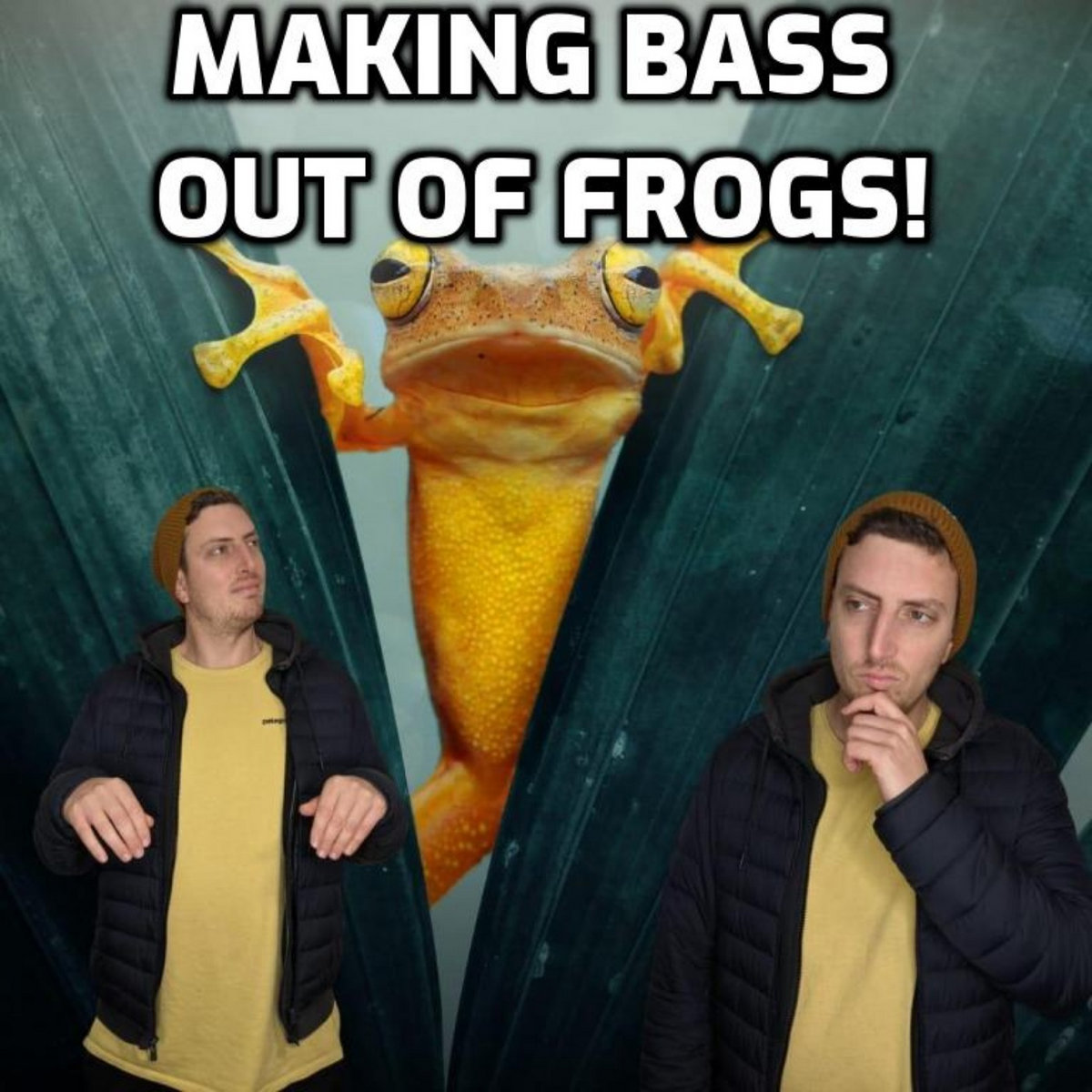 Swampy Frog Bass - Sample pack