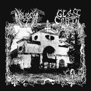 GLASS COFFIN / MOLOCH SPLIT cover