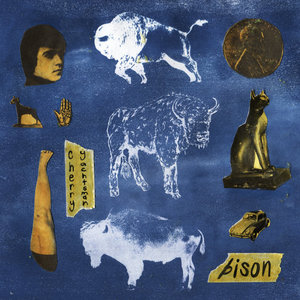 Bison cover