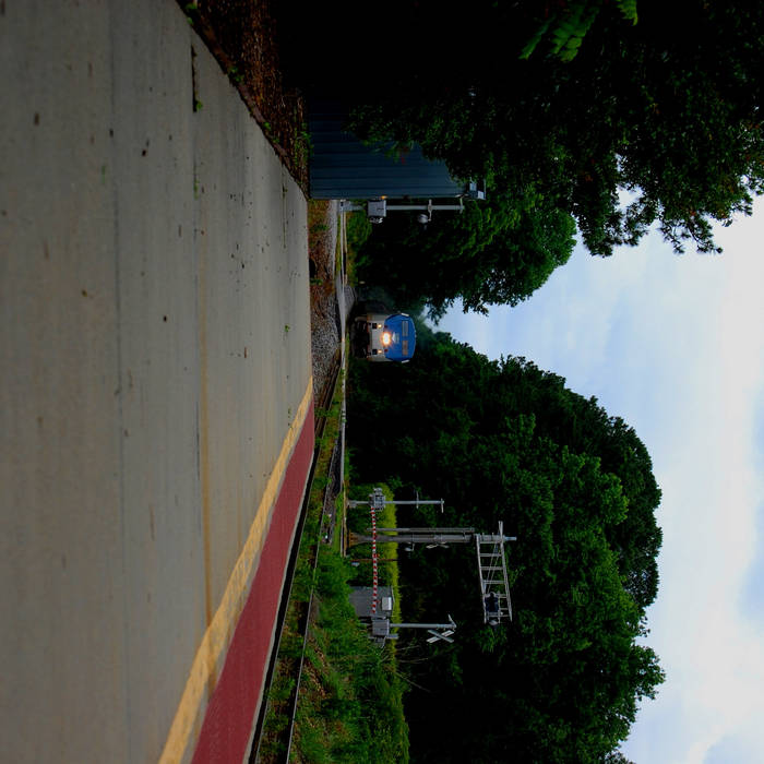 Cracked 5 Douchebag Behaviors Explained By Science Darildrea castbovidemsi