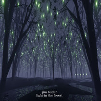 light in the forest cover art