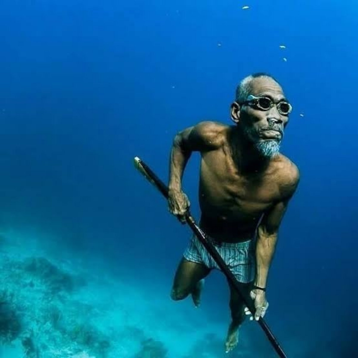 Deixa Quieto by Macaco Bong