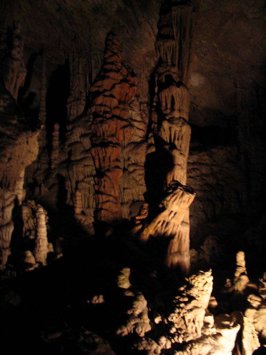 Ancient Forest | Ancient Forest