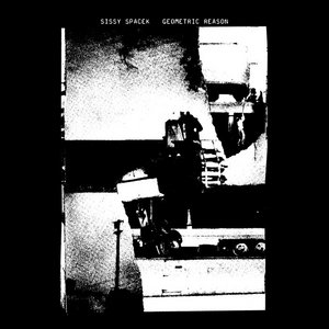 Geometric Reason cover