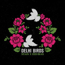 Stain, Zed Bias — Delhi Birds
