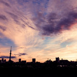 タイフーンパレード Typhoon Parade Losstime Life Canaria Records