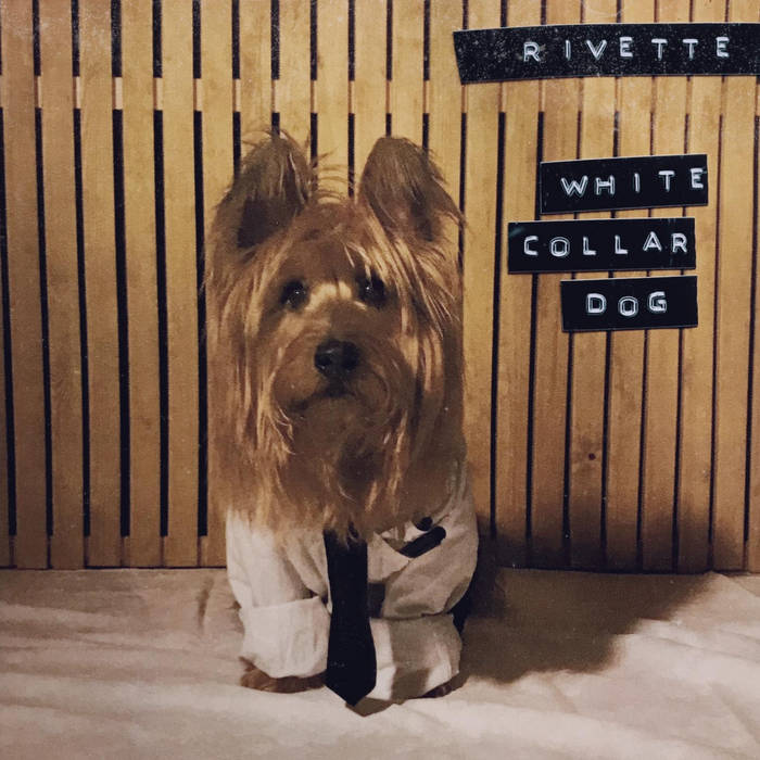 Warren Rivette White Collar Dog | Rivette