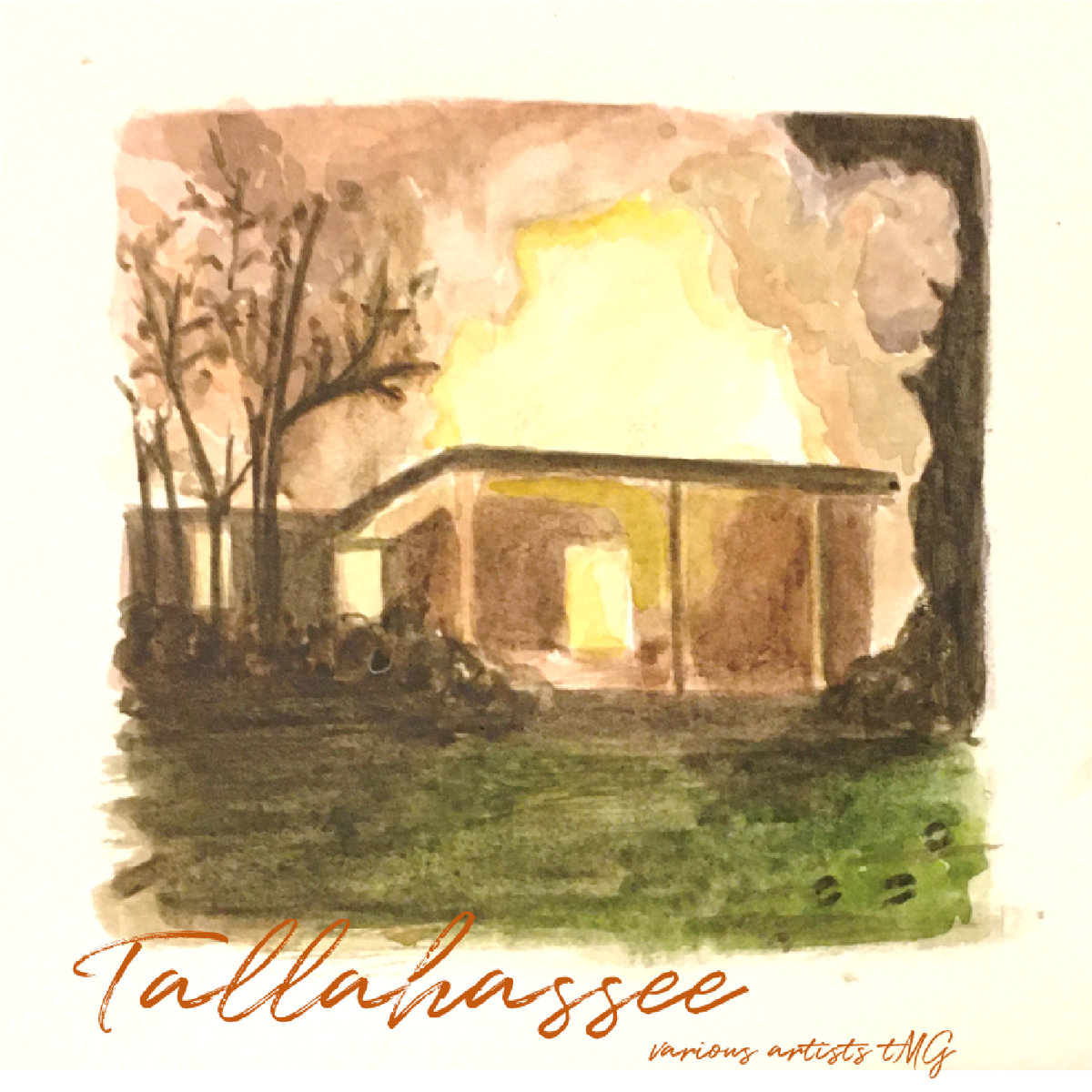 Tallahassee Cover Album Various Artists The Mountain Goats Mountain Goats Shitposting Mountaingoats Shitposting