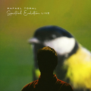 Music | Rafael Toral