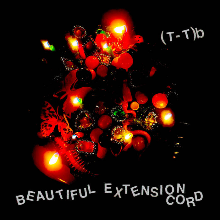 Beautiful Extension Cord | (T-T)b | Disposable America