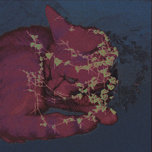 slacker cover