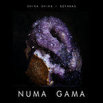 Botanas: Numa Gama