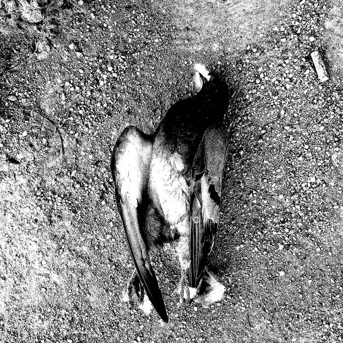 Napalm Grave / Noctambvla split | Napalm Grave / Noctambvla